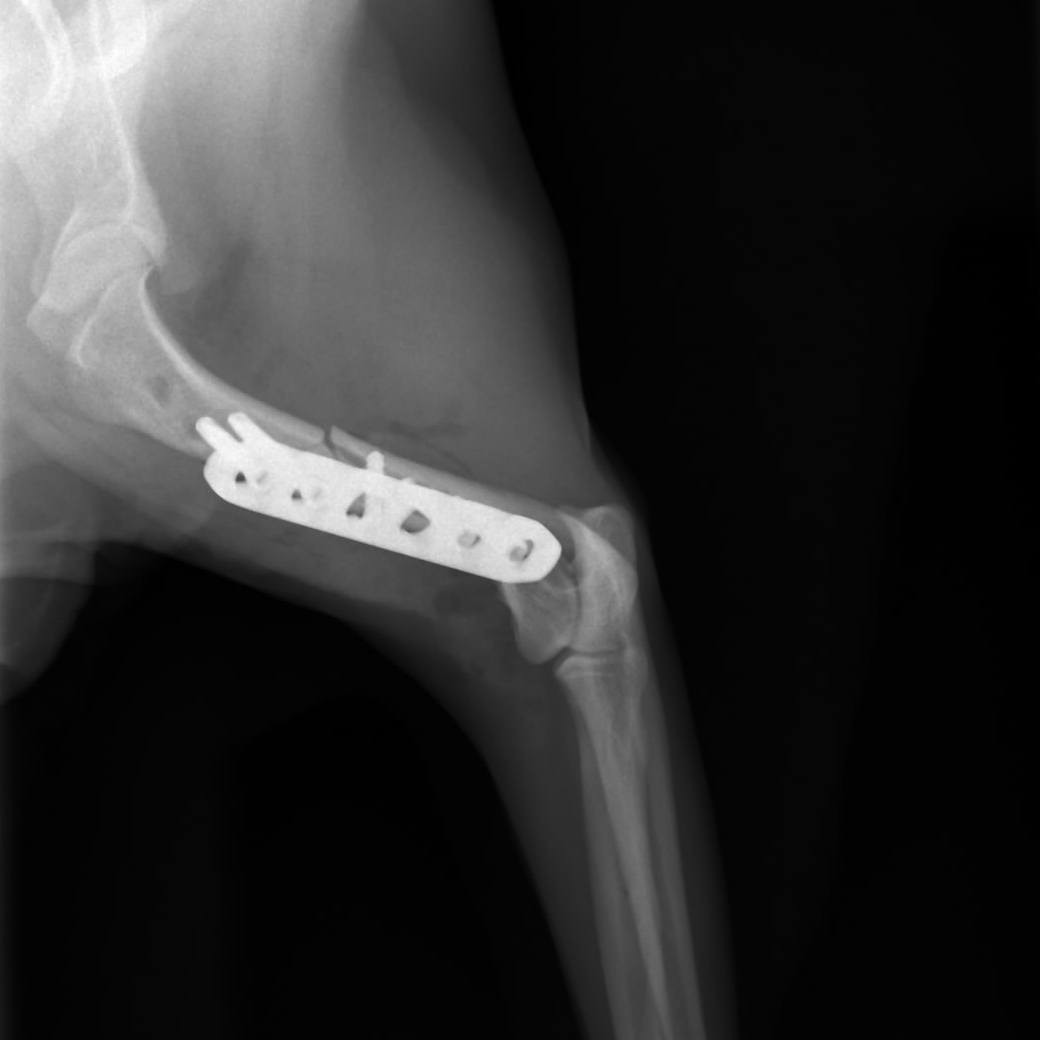 Vierkant-Orthopedie1040x1040 Vierkant-Orthopedie1040x1040