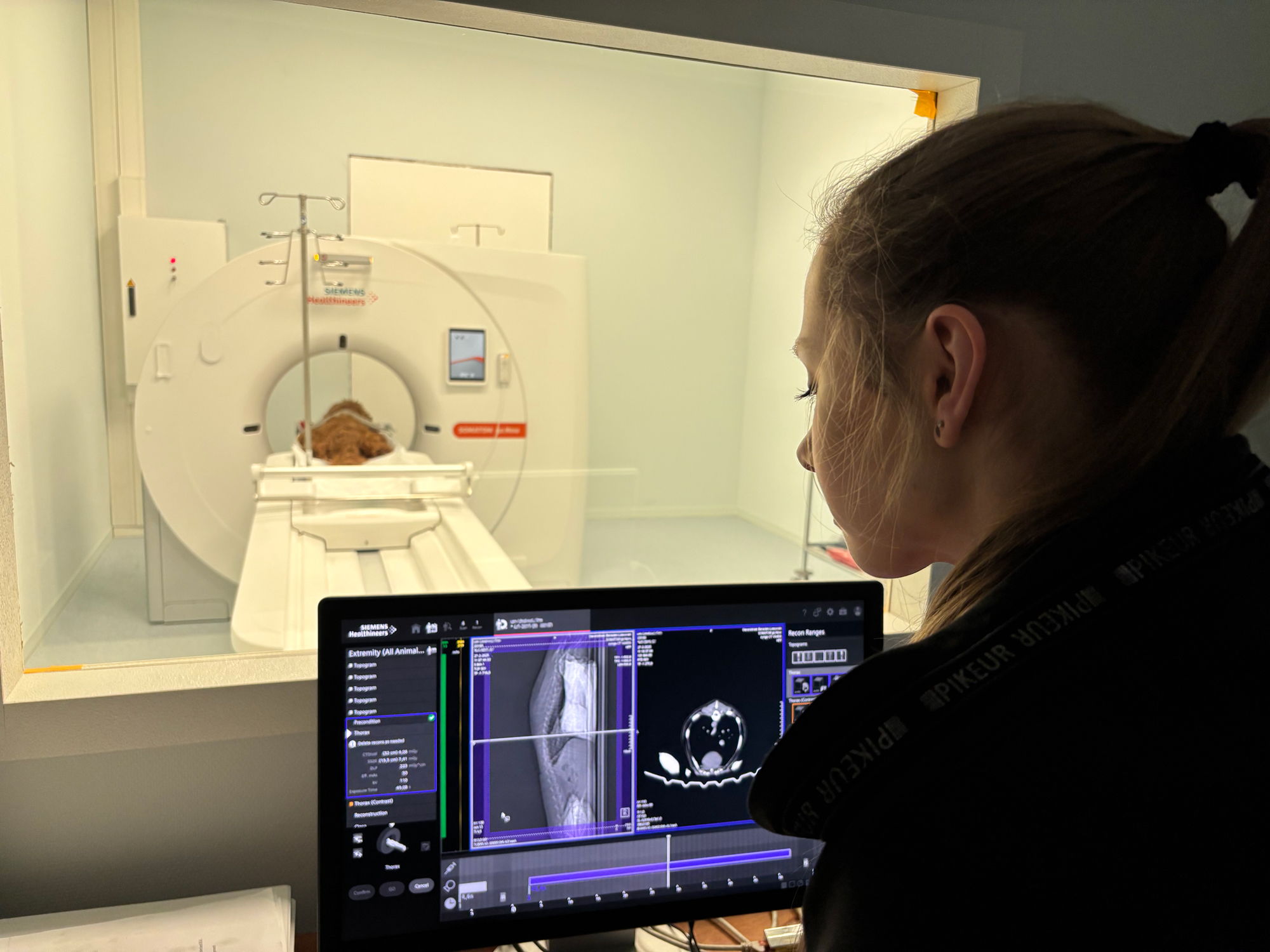 CT-Scan bij een hond